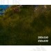 Tło fotograficzne „Leśna chatka nad jeziorem z liskiem” | J_274 Tło fotograficzne „Leśna chatka nad jeziorem z liskiem” | J_274